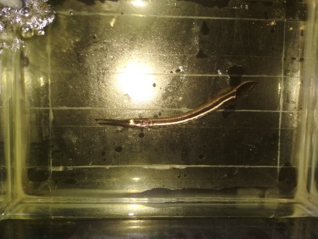 IMG_20220915_235406.jpg IMG_20220915_235406.jpg