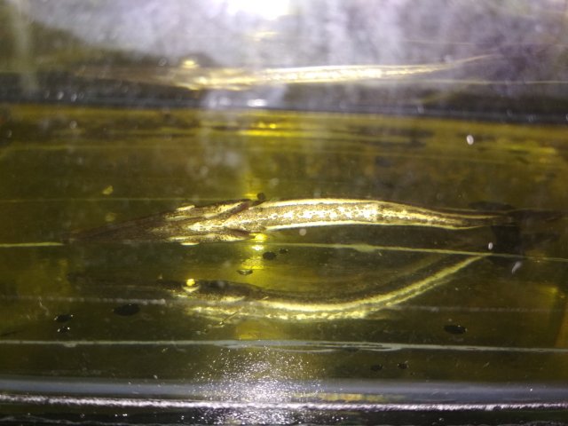 IMG_20220915_235359.jpg IMG_20220915_235359.jpg