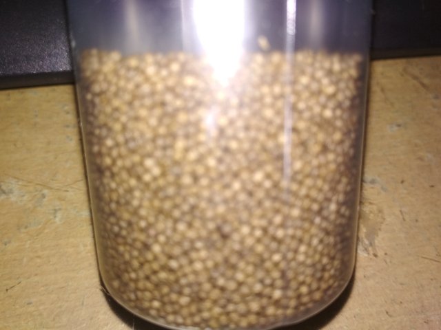 IMG_20220916_002959.jpg IMG_20220916_002959.jpg