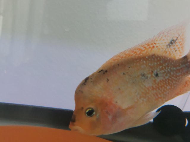 20220916_135841.jpg
