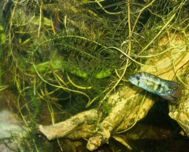 350B8D44-81A0-4A6F-9F43-C8F799F6073C_1_201_a.jpeg 350B8D44-81A0-4A6F-9F43-C8F799F6073C_1_201_a.jpeg