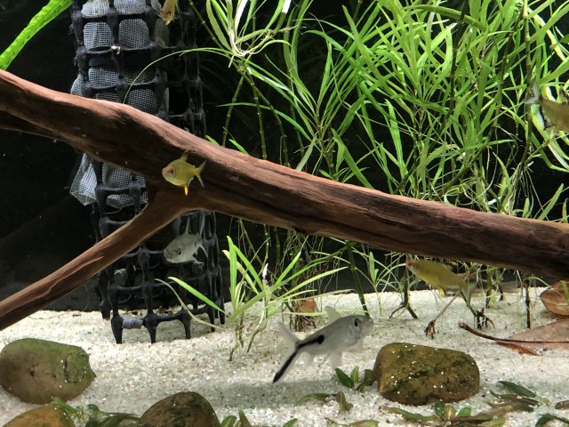 IMG_0833.jpg IMG_0833.jpg