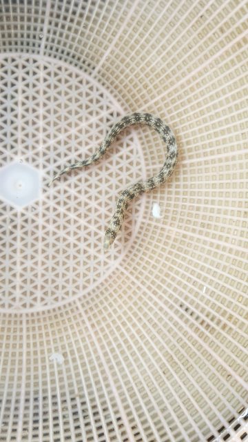 WhatsApp Image 2022-09-06 at 11.19.36 AM (1).jpeg WhatsApp Image 2022-09-06 at 11.19.36 AM (1).jpeg