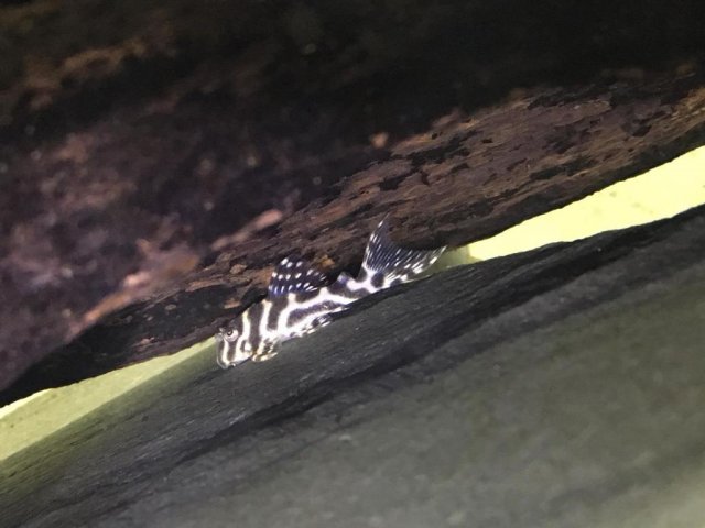 WhatsApp Image 2022-09-19 at 6.02.20 PM (2).jpeg WhatsApp Image 2022-09-19 at 6.02.20 PM (2).jpeg