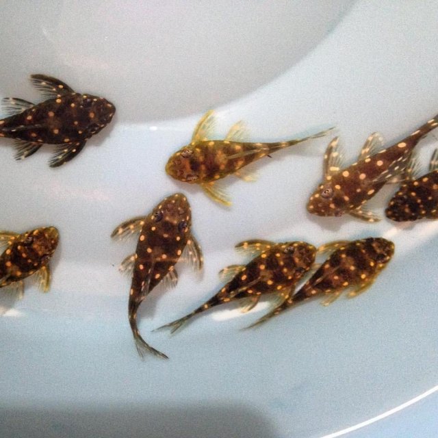 WhatsApp Image 2022-09-19 at 6.02.20 PM (1).jpeg WhatsApp Image 2022-09-19 at 6.02.20 PM (1).jpeg