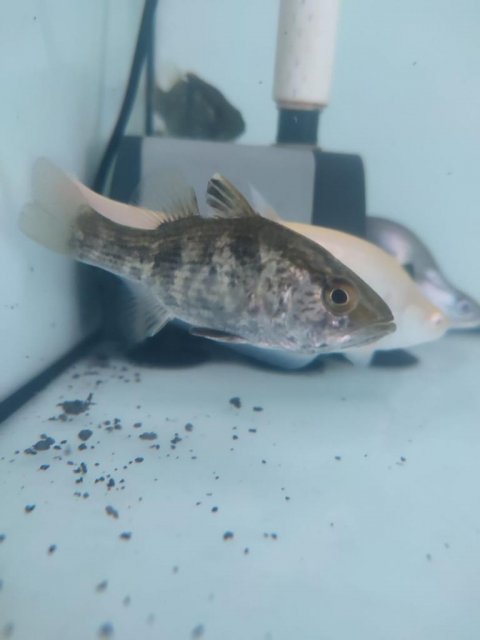 WhatsApp Image 2022-09-19 at 6.02.20 PM.jpeg WhatsApp Image 2022-09-19 at 6.02.20 PM.jpeg