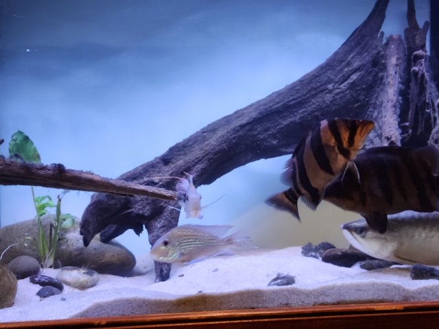 20220917_175104.jpg