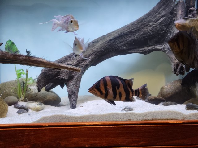 20220917_175058.jpg