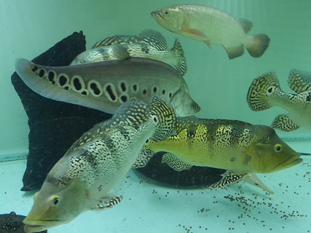 20220914_180852.jpg