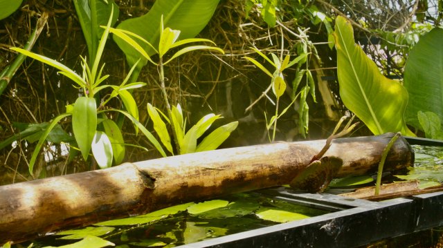 BBEB5DE7-C234-4B24-B2A7-B66CC5830706_1_201_a.jpeg BBEB5DE7-C234-4B24-B2A7-B66CC5830706_1_201_a.jpeg