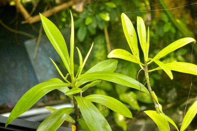 31AC79A4-DE25-4EBE-9234-7F82CF4BBBF5_1_201_a.jpeg 31AC79A4-DE25-4EBE-9234-7F82CF4BBBF5_1_201_a.jpeg