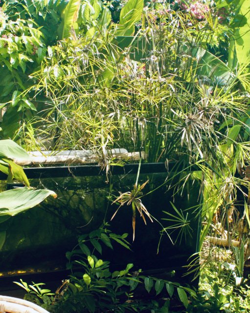 E1BC9986-B611-47F1-8B93-8338E6C22240_1_201_a.jpeg E1BC9986-B611-47F1-8B93-8338E6C22240_1_201_a.jpeg