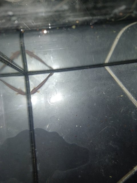 20220928_144632.jpg