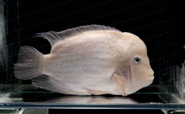 DEV_9430.jpg DEV_9430.jpg