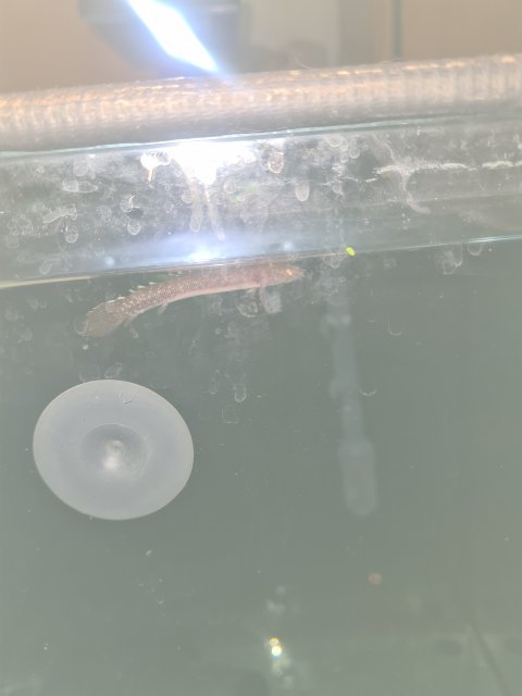 20221001_194530.jpg