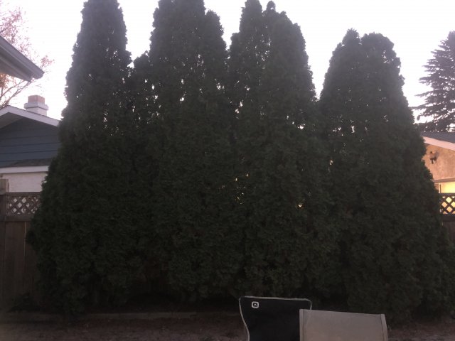 E042F681-AD96-4800-90DB-CB1F32B39395.jpeg
