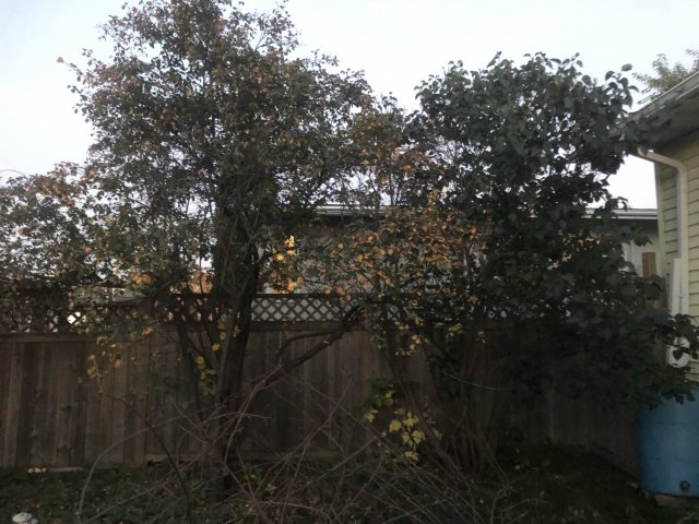 AEA45813-07E5-4A3B-B6D9-C454D45514B5.jpeg