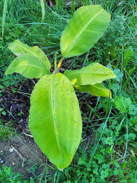 20221004_171102.jpg