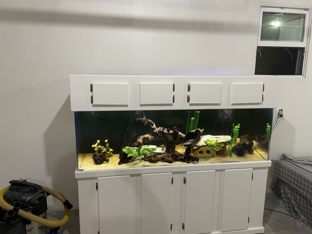 180 gal 4.jpg