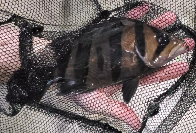 1665070808341.png 1665070808341.png