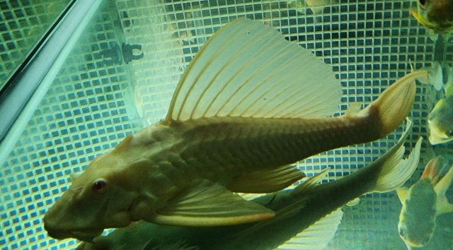20221007_002709.jpg