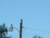 Picture 001.jpg