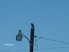 Picture 002.jpg
