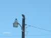 Picture 004.jpg