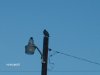 Picture 005.jpg