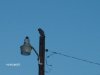 Picture 006.jpg