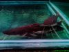 DSC00344.JPG