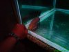 DSC00347.JPG