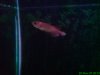 DSC00351.JPG