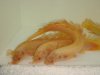 DSC03893.JPG