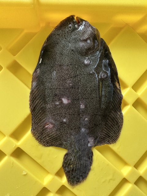 E3E678BA-AC52-416E-A161-FF384C5E2F00.jpeg E3E678BA-AC52-416E-A161-FF384C5E2F00.jpeg