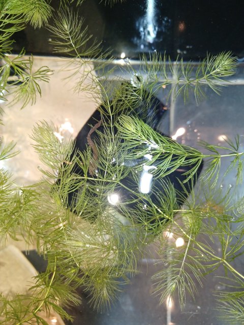 20221011_192153.jpg