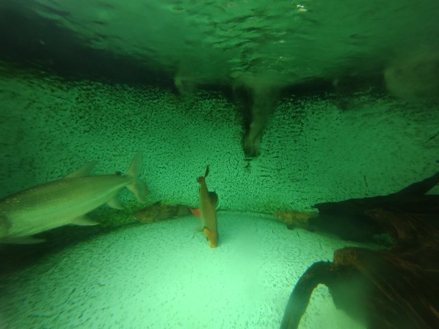 IMG_20221002_092329433.jpg