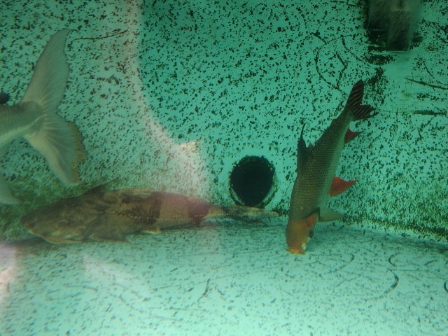 IMG_20221002_092216182.jpg