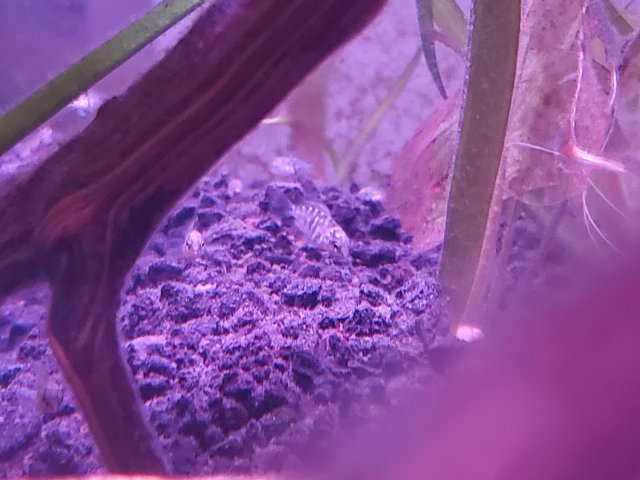 20221013_212511.jpg