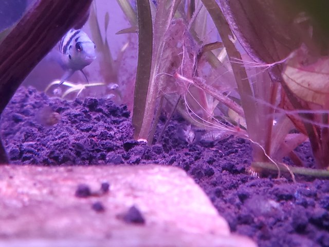 20221013_212534.jpg