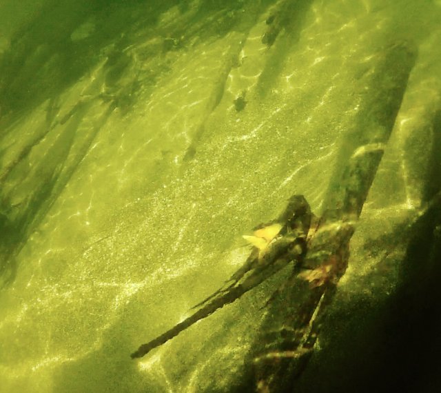 33BAA131-0F6A-4060-8753-D5C0C4C909B0_1_105_c.jpeg 33BAA131-0F6A-4060-8753-D5C0C4C909B0_1_105_c.jpeg