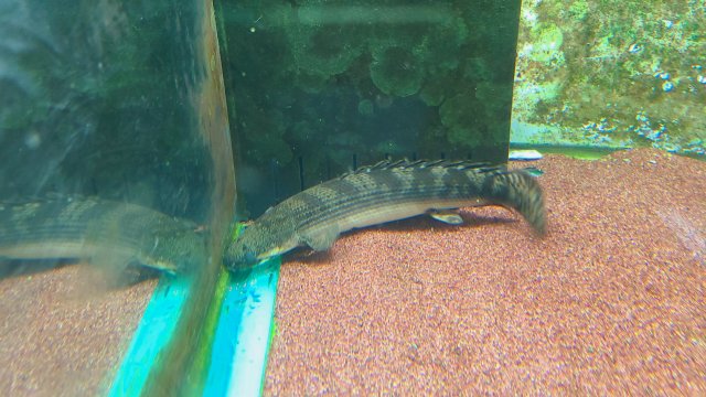 20221020_121915.jpg