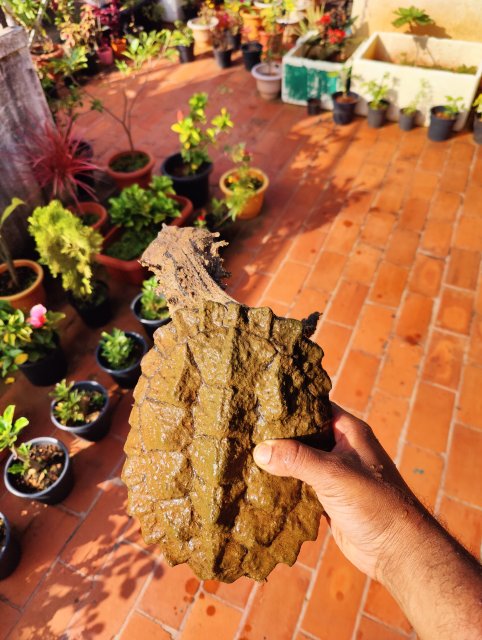 IMG20220917083044.jpg