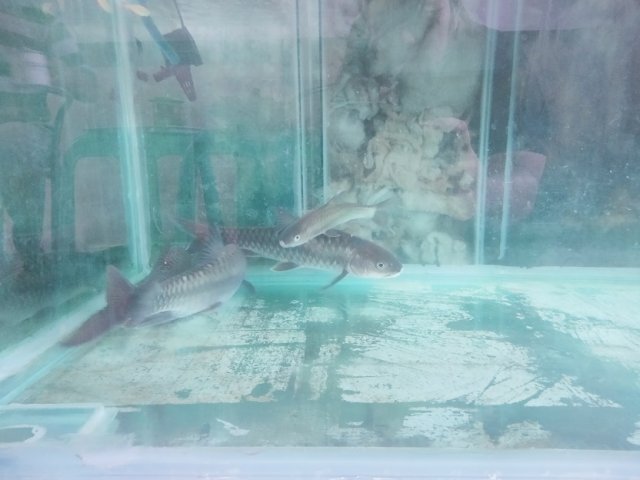 IMG20221014094059.jpg IMG20221014094059.jpg