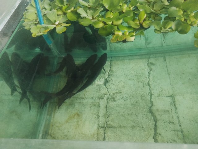 IMG20221014110337.jpg IMG20221014110337.jpg