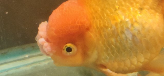 20221020_134539.jpg
