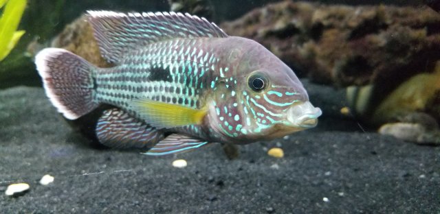 20200320_192801.jpg 20200320_192801.jpg