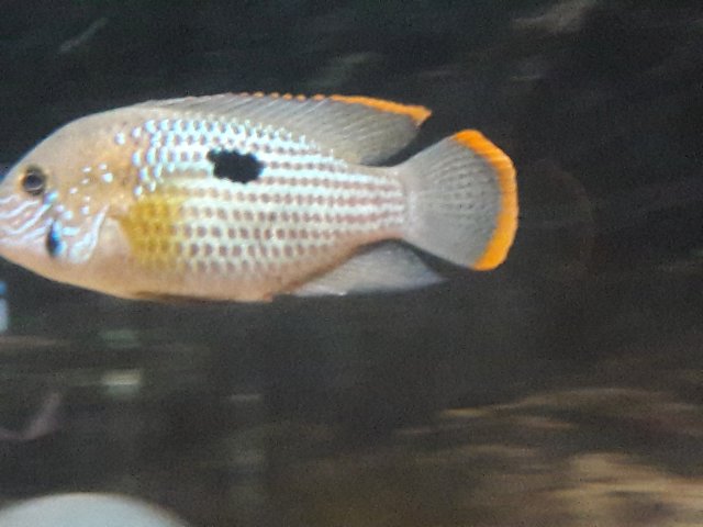 20180325_001719.jpg 20180325_001719.jpg