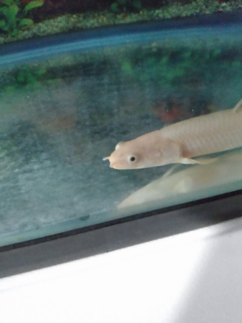 IMG_20221029_204248006.jpg IMG_20221029_204248006.jpg