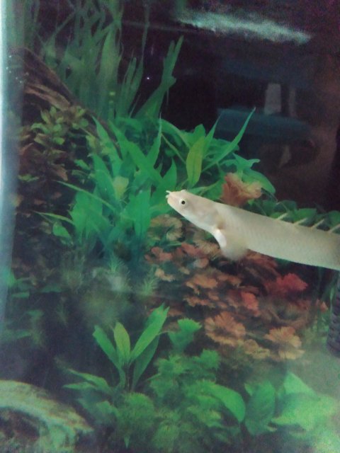 IMG_20221029_204204552.jpg IMG_20221029_204204552.jpg